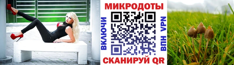 Псилоцибиновые грибы Cubensis Ардатов