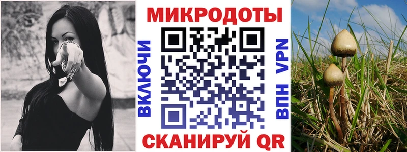 Псилоцибиновые грибы Magic Shrooms  Ардатов 