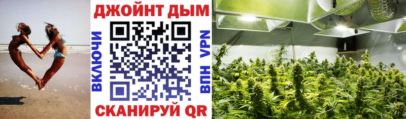 Канабис ГИДРОПОН  KRAKEN ТОР  Ардатов  даркнет сайт 